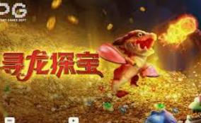 pg赚钱网站桌面版客户端