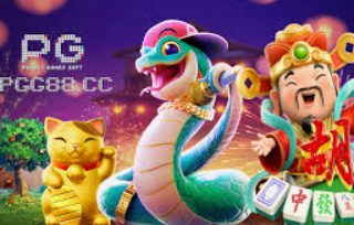 pg赚钱网站电脑免费版