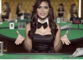 pg赚钱网站2024最新版